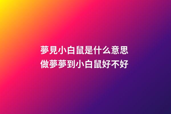 夢見小白鼠是什么意思 做夢夢到小白鼠好不好